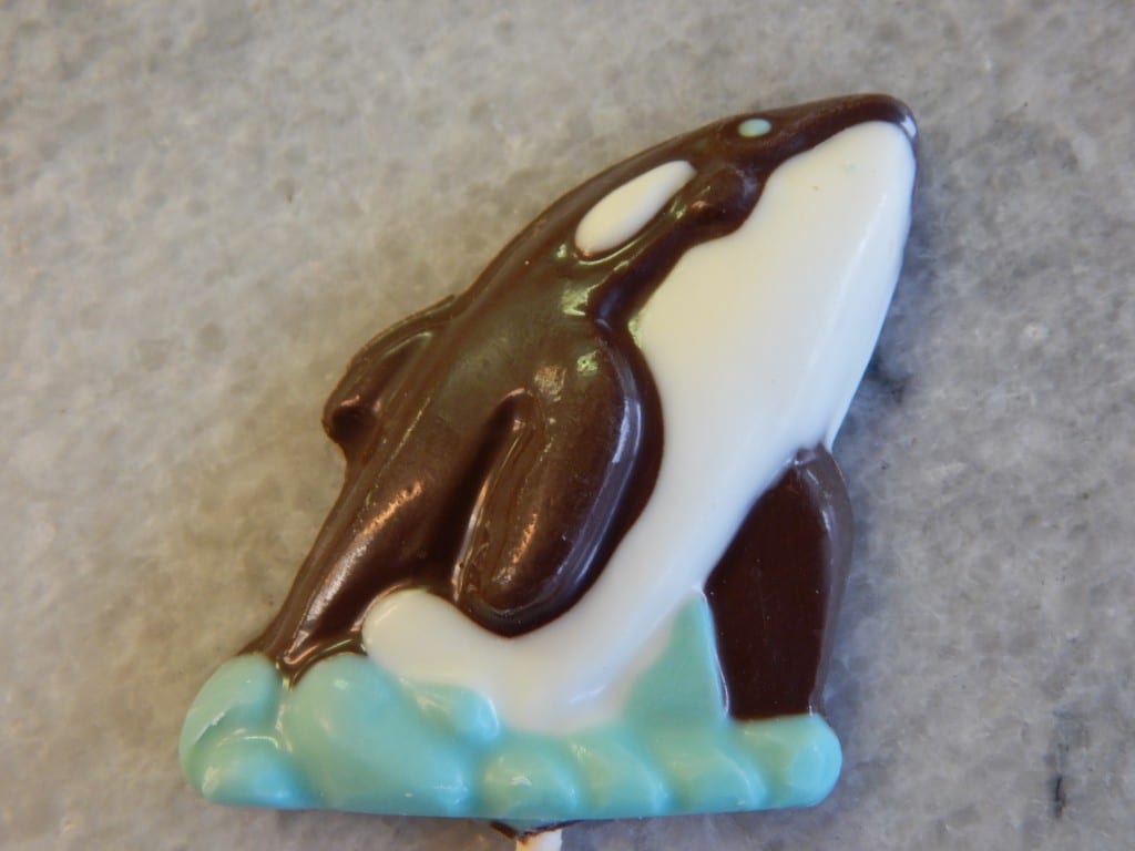 Alaskan Chocolate Pop Bundle Alaskan Fudge Company